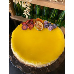 Glutensiz, Rafine Şekersiz Portakallı Cheesecake -20cm